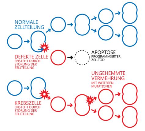 Dr med Jutta Karl Fachärztin für Allgemeinmedizin Downloads