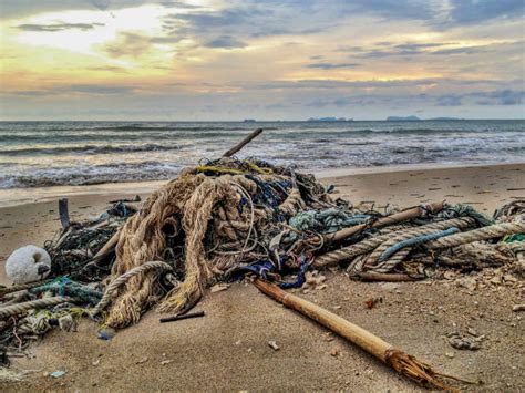 Ghost Fishing Nets Stock Photos, Pictures & Royalty-Free Images - iStock