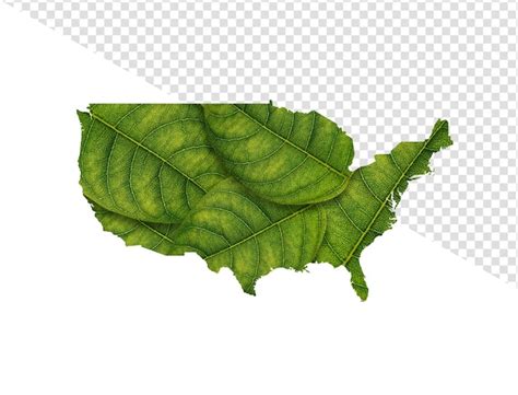 Premium PSD USA Map Made Of Green Leaves On Isolated Background