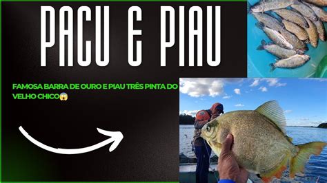 Pesca De Pacu E Piau No Rio S O Francisco Part Piaubrutooficial