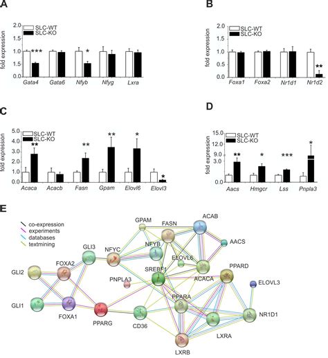 Hedgehog Signaling Is A Potent Regulator Of Liver Lipid Metabolism And