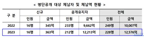 관세청 2023년 관세 고액·상습 체납자 228명 명단공개