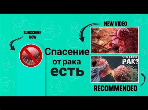 Отличный результат от женский онкологий! #онкология #здоровья #бады ...