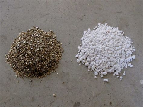 Perlite Vs Vermiculite in Soil Mix: What Is The Difference