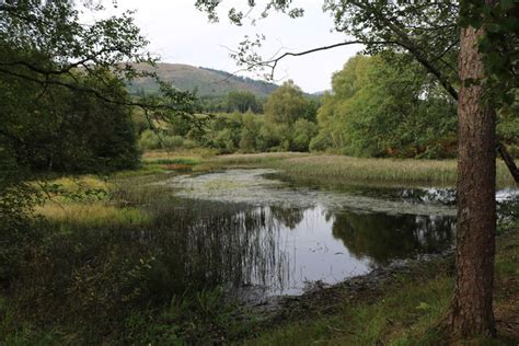 Isolated Pond In Woodland Bill Kasman Geograph Britain And Ireland