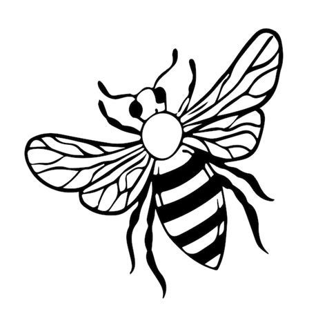 Premium Vector Insects Wasps In The Style Of Doodles Vector Line Art