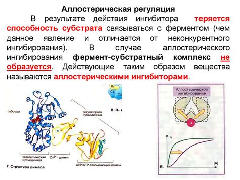 Ферменты: ингибиторы и типы ингибирования (тема 8) - презентация онлайн