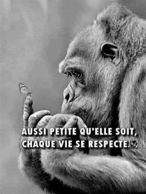 Pin By Aicha Rochdi Damdami On Quotes In French French Quotes Karma