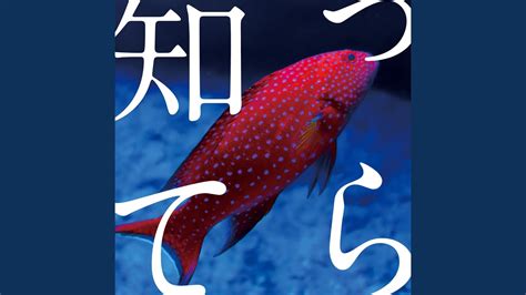 Shiterra - YouTube Music