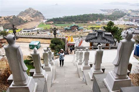 Veja A Paisagem Marinha Na Ilha De Jeju E As Est Tuas De Animais Do