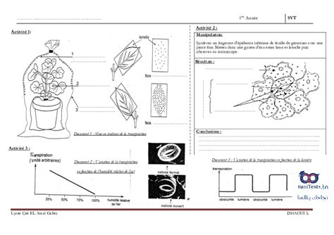 Serie D Exercices Ere Annee Secondaire Sciences Svt La Transpiration