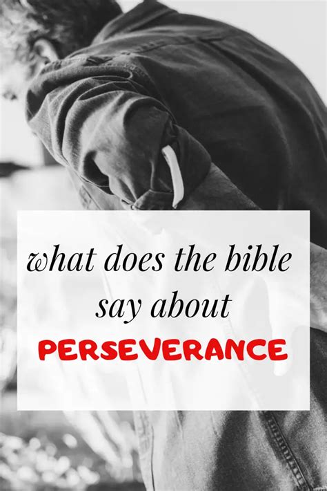 30 Bible Verses About Perseverance What Does Scripture Say