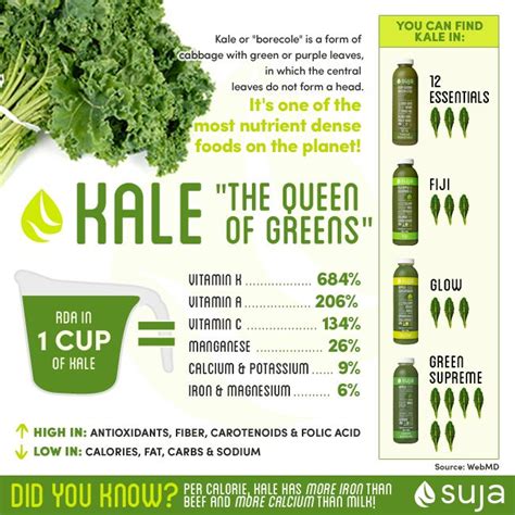 Blog :: Suja Juice :: Organic Cold-Pressed Juices & Smoothies in 2024 ...