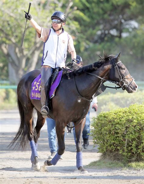 【注目馬動向】凱旋門賞挑戦のタイトルホルダー帰厩 出国は9月16日 スポーツ報知