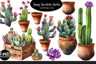 Succulents And Terracotta Pots Clipart Graphic By Ambillustrations