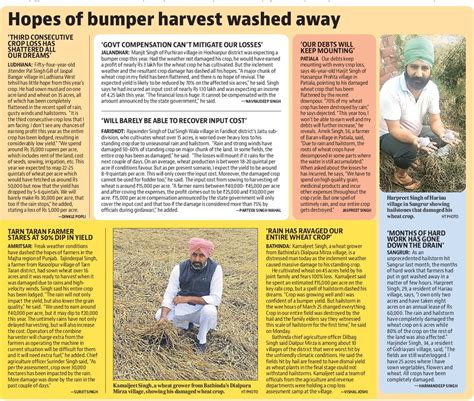 Parteek Singh Mahal On Twitter Hopes Of Bumper Harvest Washed Away