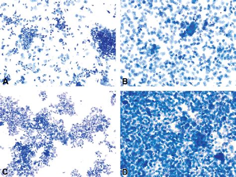 Figure From Vaginal Cytology Of The Laboratory Rat And Mouse