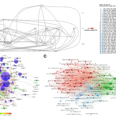 Citation And Co Citation Of Documents A The Connection Of Top 30 Lcs Download Scientific