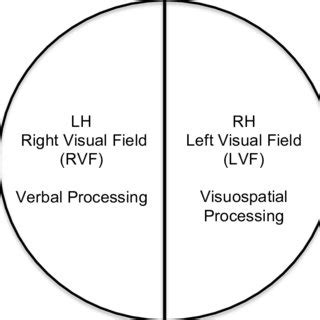 Left and right hemisphere functions | Download Scientific Diagram