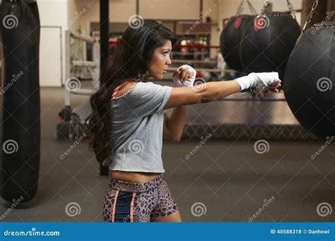 Latina Beauty Boxing Stock Photo Image Of Boxer Leisure