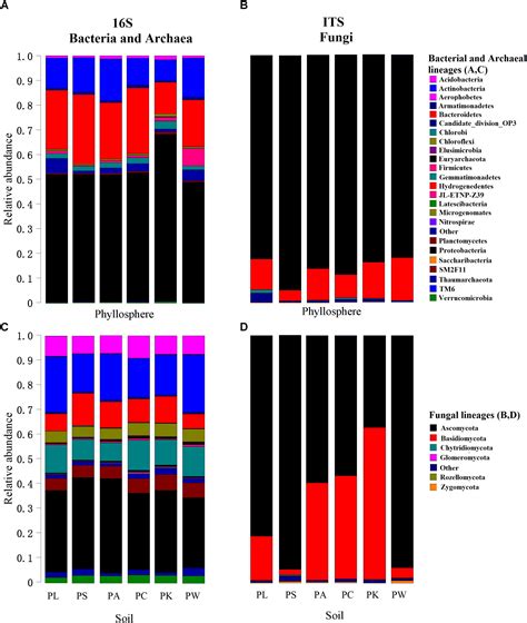 Frontiers Plant Phenotypic Traits Eventually Shape Its Microbiota A