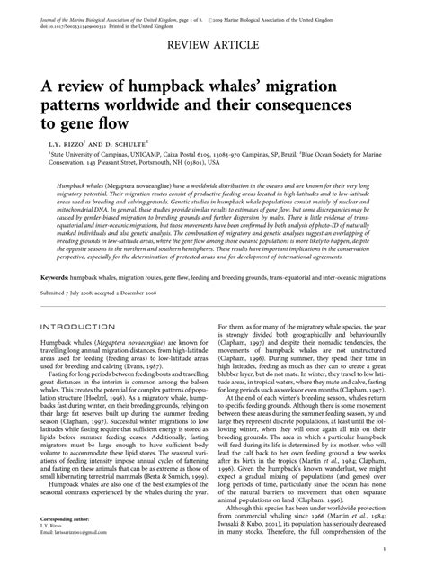 (PDF) A review of humpback whales' migration patterns worldwide and ...