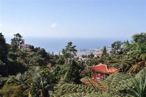 Madeira Toboggan Ride In Funchal: A Complete Guide