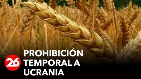 Prohibici N Temporal A Ucrania De Exportar Cereales A Pa Ses Miembros