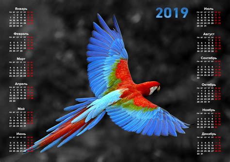Красивый календарь на 2019 год — 3mu.ru