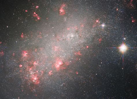 Nasas Hubble Space Telescope Captures Ngc 1156 A Blossoming Galactic