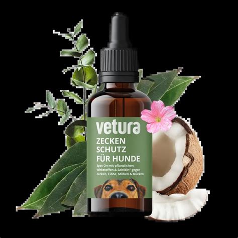 Hund mit Durchfall: 6 Hausmittel & Tipps vom Tierarzt