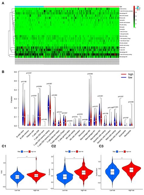 Correlation Of Gene Model With Immune Cell Infiltration And