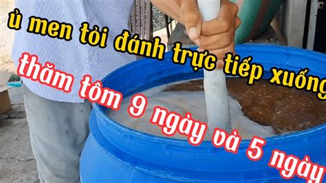 126 Chia Sẻ Cách Ủ Men Tỏi Đánh Trực Tiếp Xuống Ao Thăm Tôm Thả 9