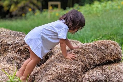 Atividades e Materiais de Educação Educlub