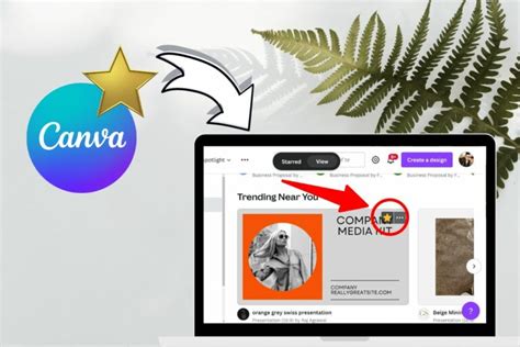 How To Outline An Image In Canva 2022 Easy Trick