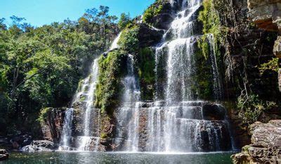 Guide To Chapada Dos Veadeiros THE LION