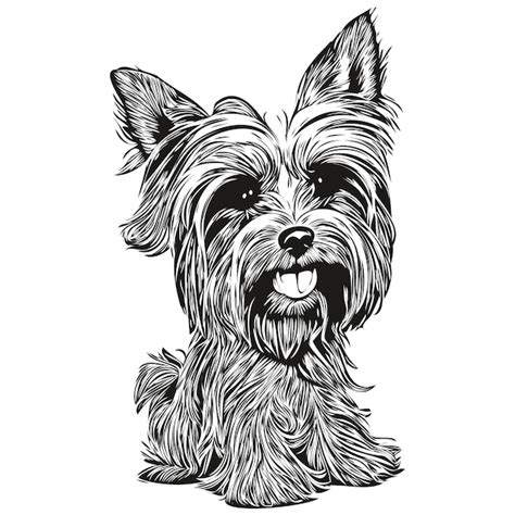 Yorkshire Terrier Perro Dibujado A Mano Vector Línea Arte Dibujo Blanco Y Negro Logo Mascotas