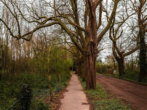 A Guide To The Beverley Brook Walk London She Walks In England