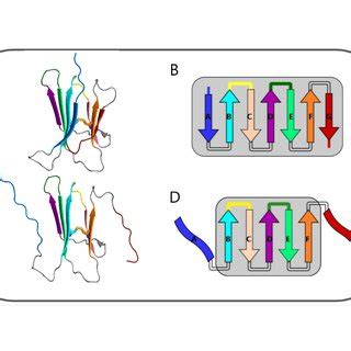 Oligomerization process for the 10 best BMs. Three dimensional ...