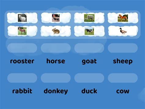 Academy Stars Starter Unit 8 - Match up