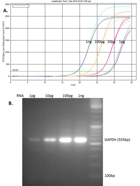 All In One Qpcr Figure Genecopoeia