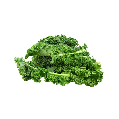 Kale Curly Gr Vivre Gourmet