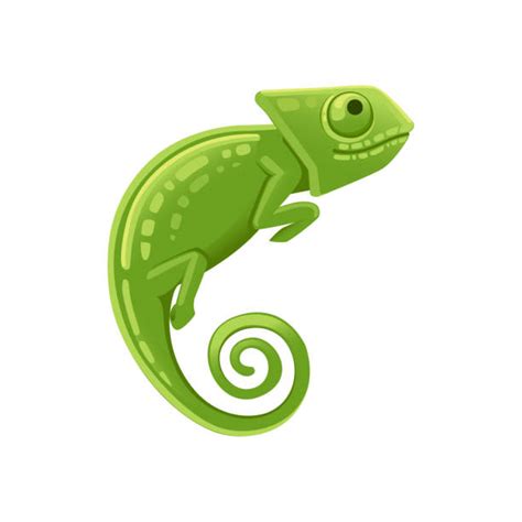 Chameleon Illustrations Royalty Free Vector Graphics And Clip Art Istock