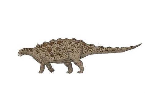 Gobisaurus The Gobi Desert S Early Cretaceous Marvel