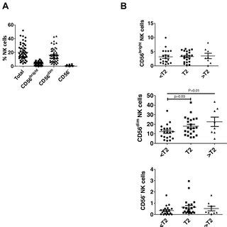 NK Cells Predominate Among Bladder Intratumoral Lymphocytes A