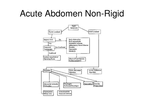 PPT - The Acute Abdomen PowerPoint Presentation, free download - ID:1873620