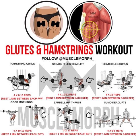 glutes hamstrings workout gym exercise muscle musclemorph ...