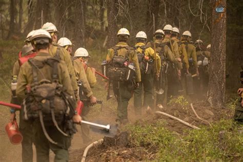 Oregon Forestry Ordeptforestry Twitter