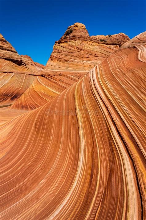 Coyote Buttes In The Vermilion Cliffs Arizona Stock Image Image Of