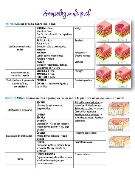 Semiologia De La Piel